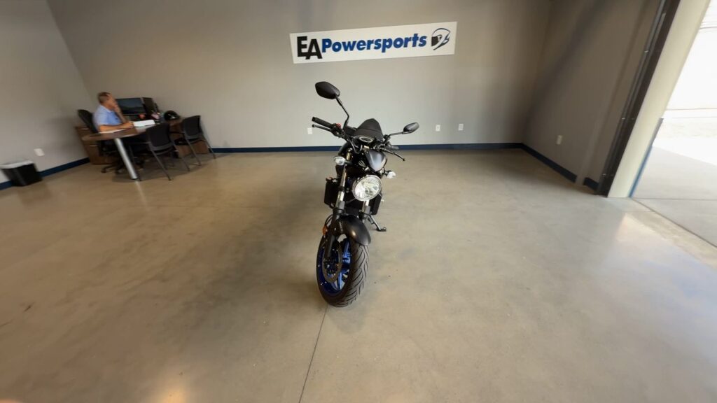 2019 SUZUKI SV650 ABS STANDARD