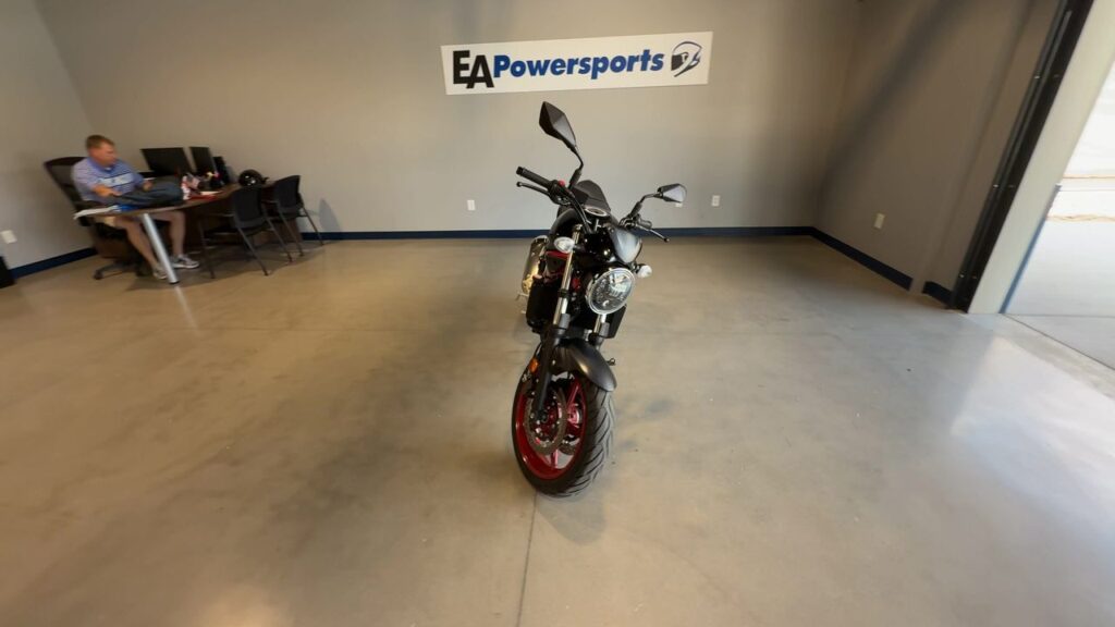 2018 SUZUKI SVF 650 GLADIUS STANDARD